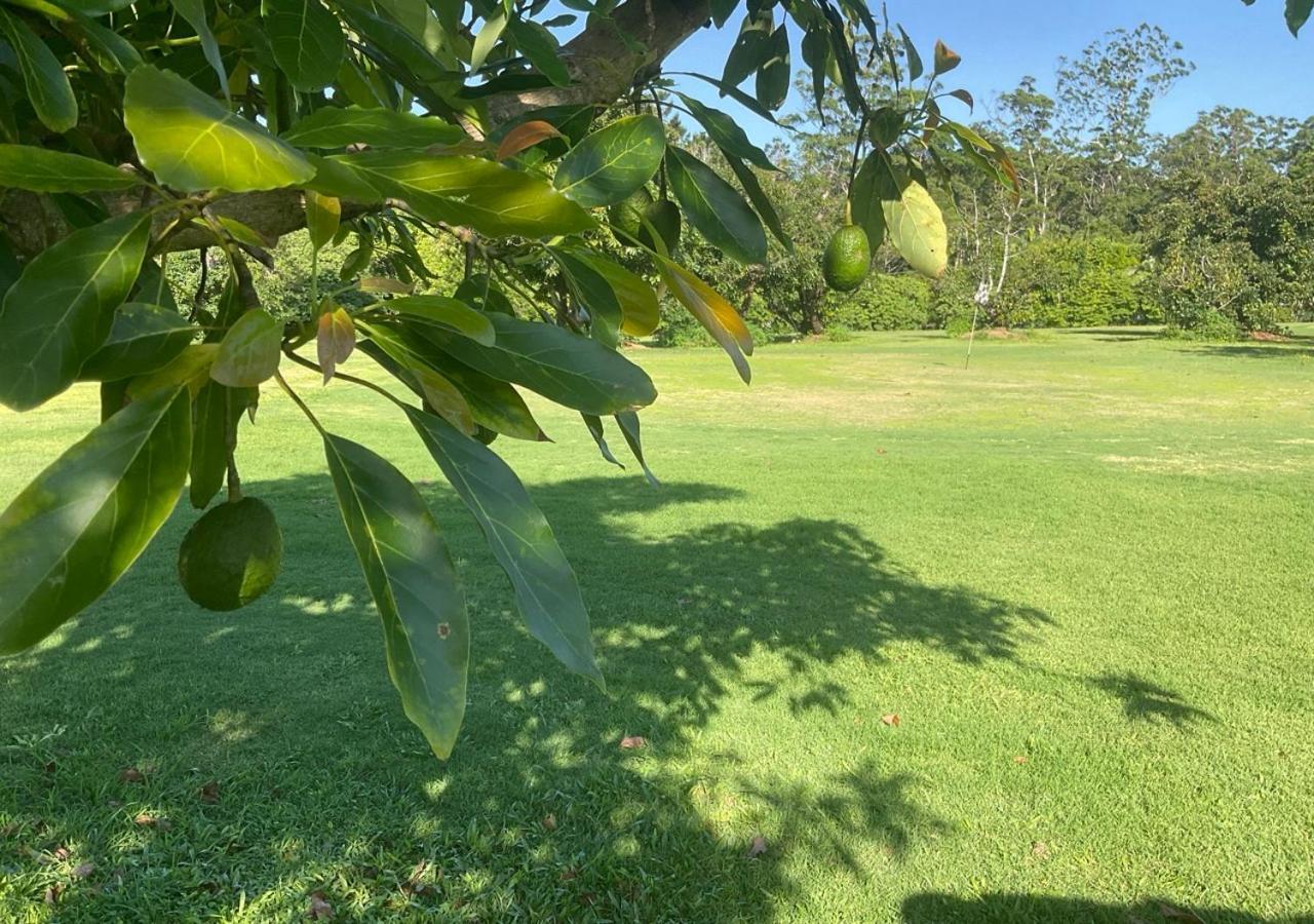Sunshine Coast Retreat Your Own Private Golf Course Diddillibah Экстерьер фото