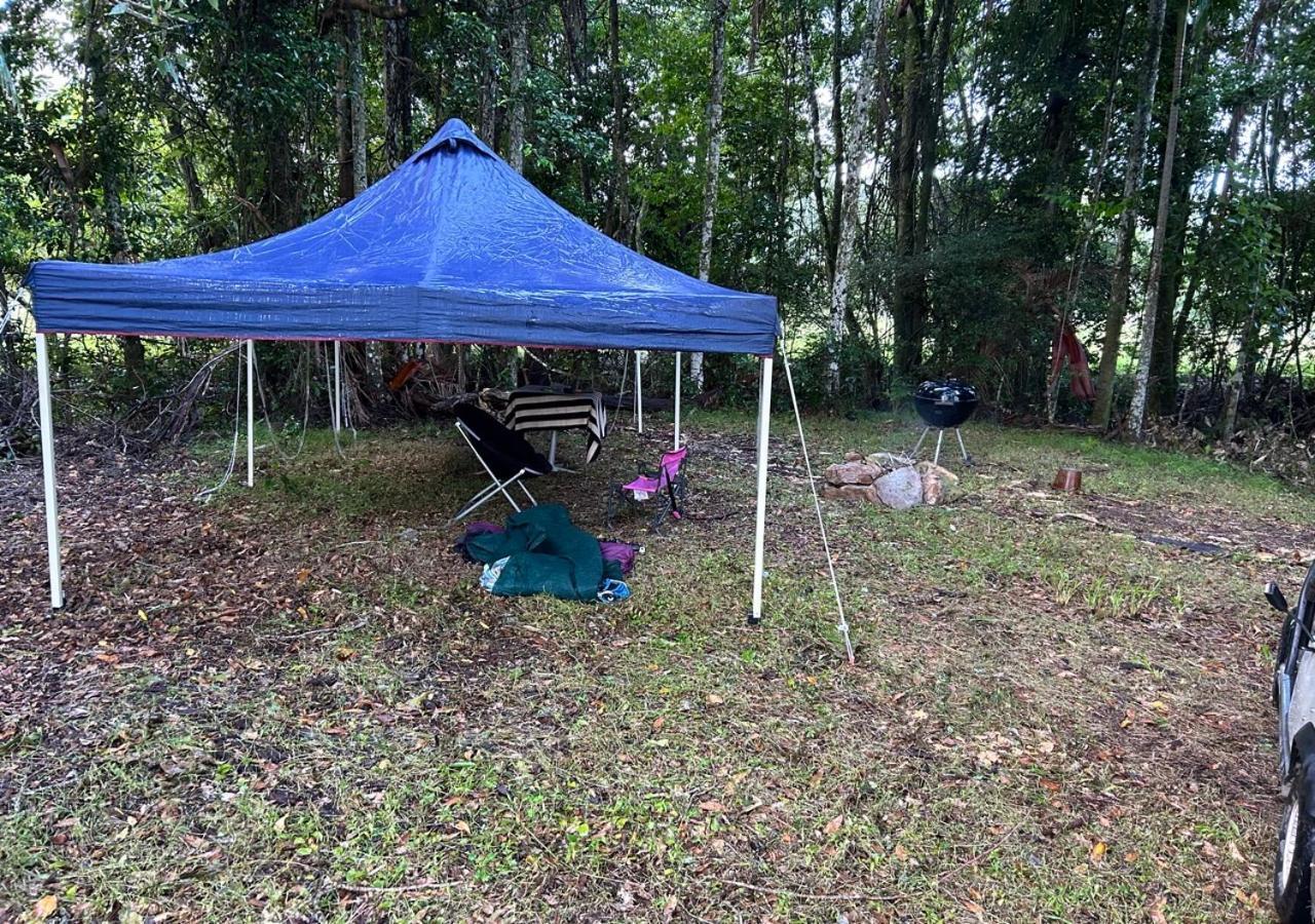 Sunshine Coast Retreat Your Own Private Golf Course Diddillibah Экстерьер фото