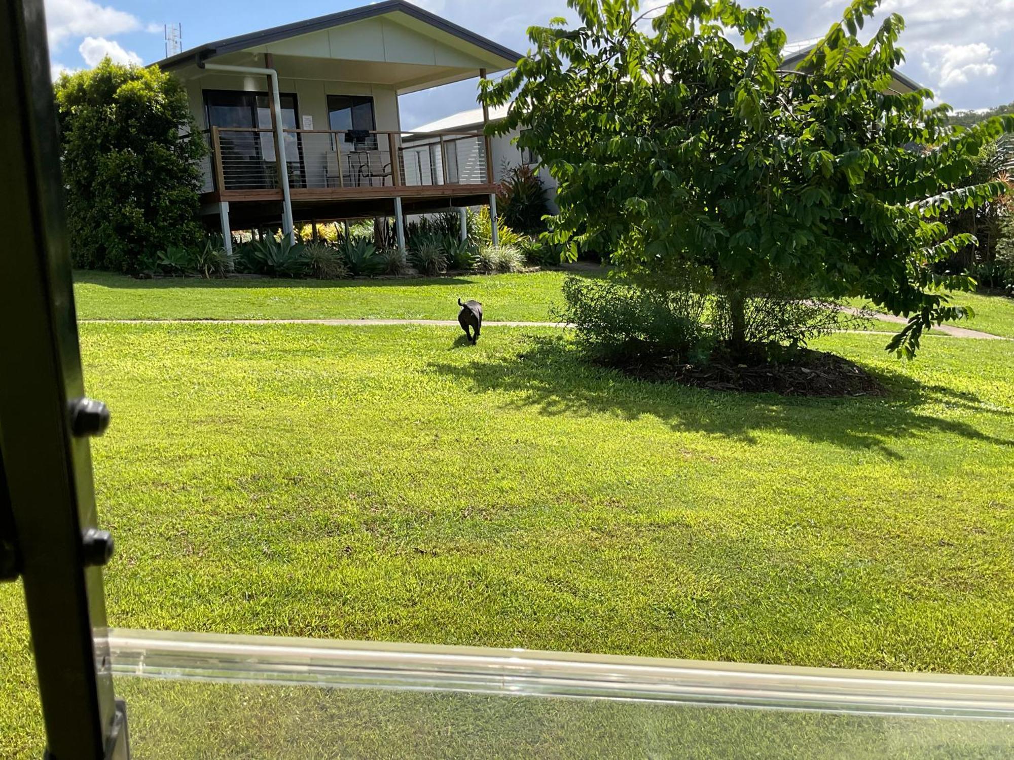 Sunshine Coast Retreat Your Own Private Golf Course Diddillibah Экстерьер фото