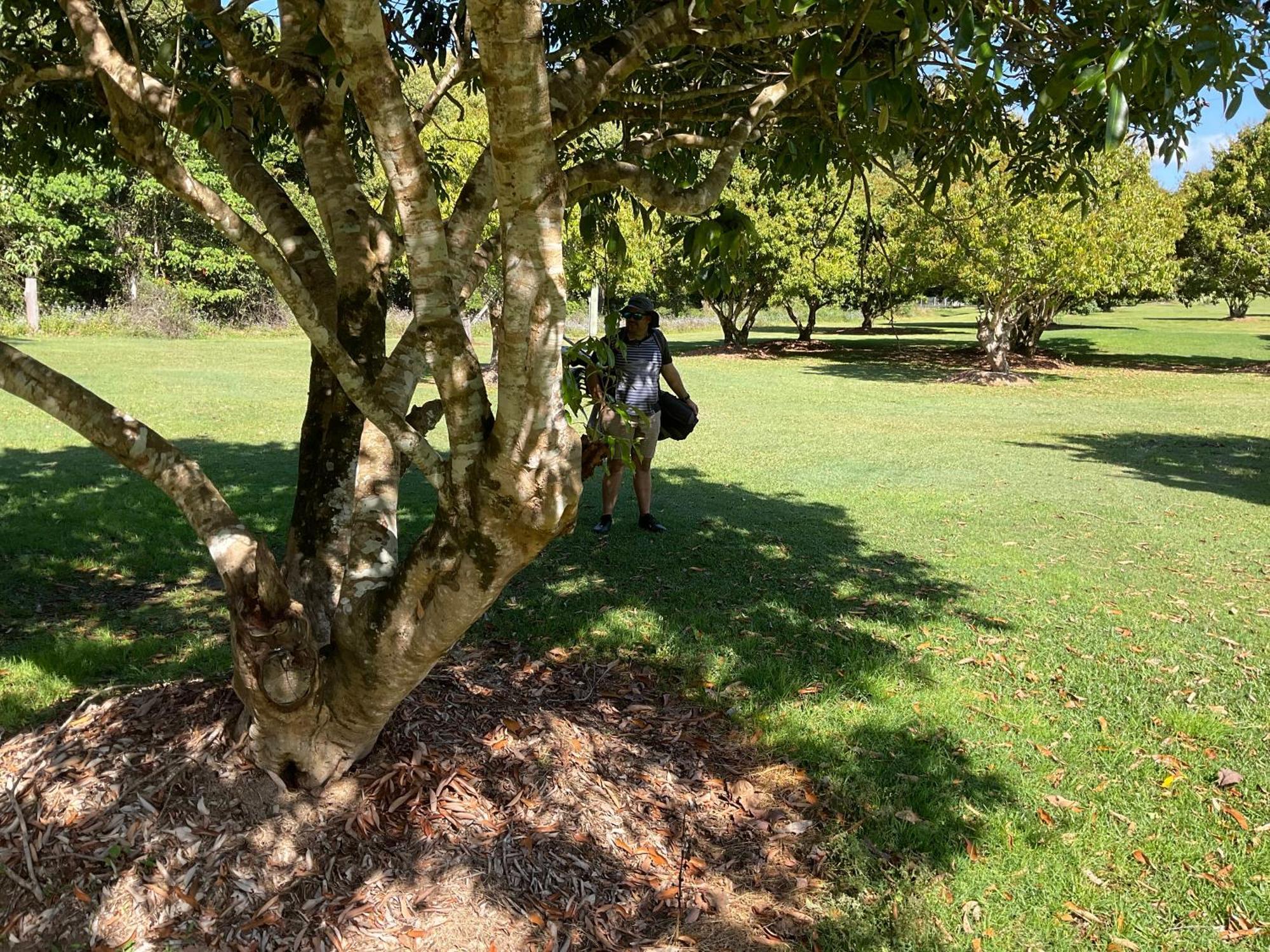 Sunshine Coast Retreat Your Own Private Golf Course Diddillibah Экстерьер фото